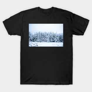 Wicklow Gap Snowy Trees T-Shirt